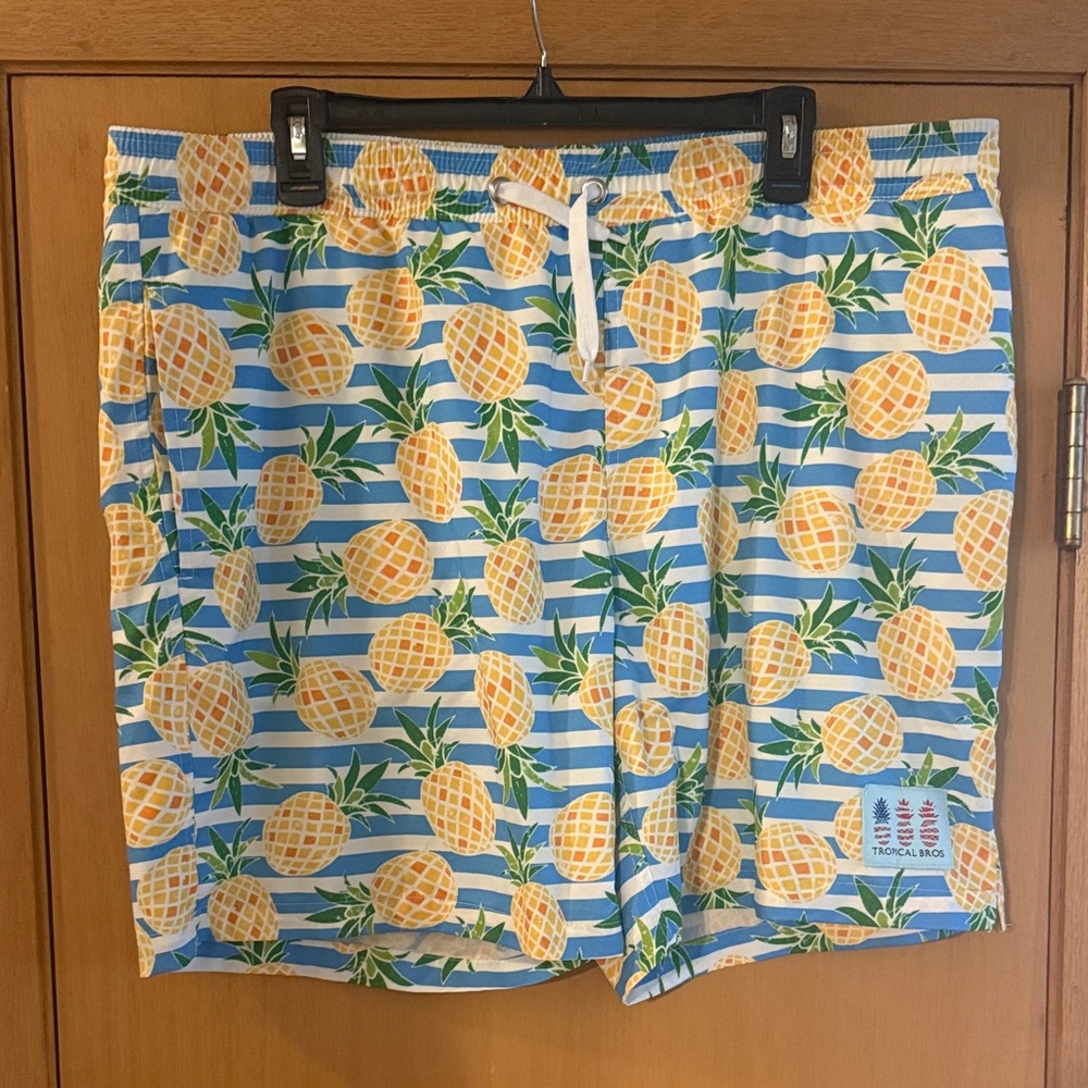 Tropical Bros Men’s Pineapple Print Striped Swim Trunks Board Shorts Size XL